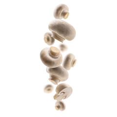 White mushrooms levitate on a white background