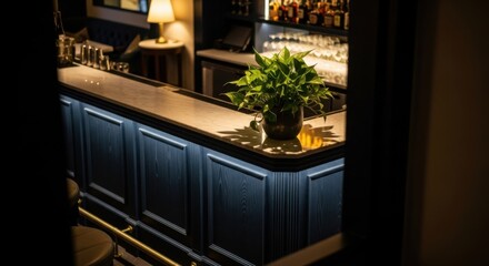 Elegant Bar Counter with Green Plant in Dimly Lit Lounge Setting