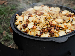 Potatoes are fried on the grill