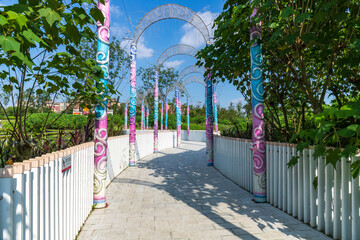 The paths in the park