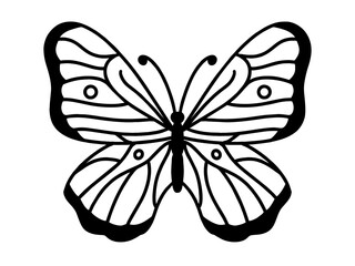 butterfly vector illustration