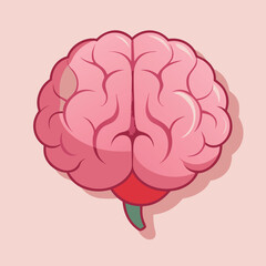 Detailed human brain illustration in pink, representing intelligence, thought, and mental health