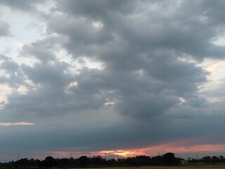 Scenic rural landscape featuring a golden field of wheat stretching toward the horizon under a blue summer sky with soft clouds and distant trees.