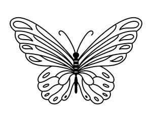 butterfly tattoo vector