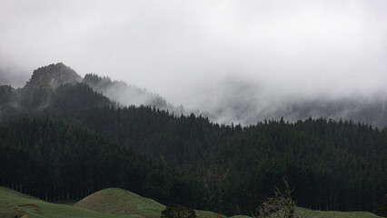 Foggy view of mountain and tree layers.