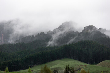 Cloudy and misty view of hill and tree. © AlexandraDaryl