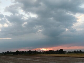 Scenic rural landscape featuring a golden field of wheat stretching toward the horizon under a blue summer sky with soft clouds and distant trees.