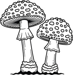 Detailed illustration of two spotted mushrooms with textured caps and stems