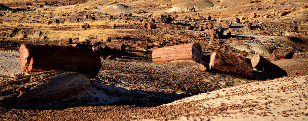 Bleak Landscape Petrified Forest National Park Arizona