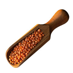 Close Up of Raw Red Lentils in a Wooden Scoop Isolated on a Transparent Background with Warm Lighting Highlighting the Grains
