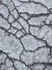 Fototapeta premium Cracked asphalt surface. Creative cracked background. Old asphalt