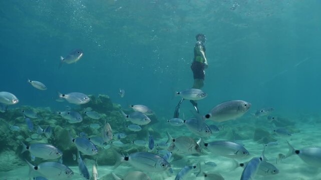 skin diver boy dives underwater and swim with fish around