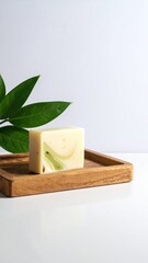 Soap on tray with leaves. Aesthetic. Clean, natural