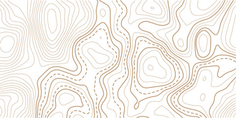 Topographic map pattern background vector. Abstract line contour mountain terrain map background. Modern design with White background with topographic wavy pattern design. 