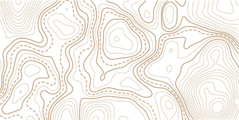 Topographic map pattern background vector. Abstract line contour mountain terrain map background. Modern design with White background with topographic wavy pattern design. 
