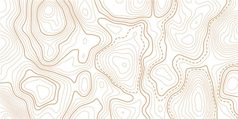 Topographic map pattern background vector. Abstract line contour mountain terrain map background. Modern design with White background with topographic wavy pattern design. 
