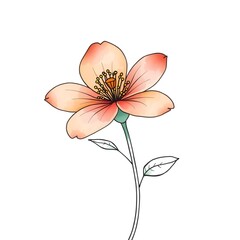 Obraz premium watercolor flower illustration