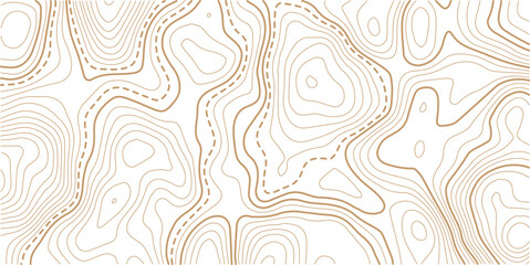 Topographic map pattern background vector. Abstract line contour mountain terrain map background. Modern design with White background with topographic wavy pattern design. 