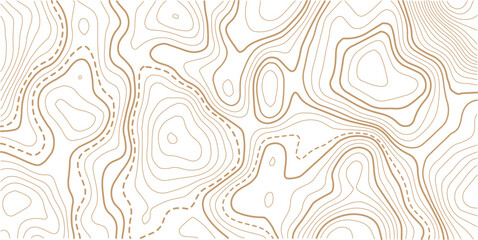 Fototapeta premium Topographic map pattern background vector. Abstract line contour mountain terrain map background. The concept of a conditional geography scheme and contour line map image. 