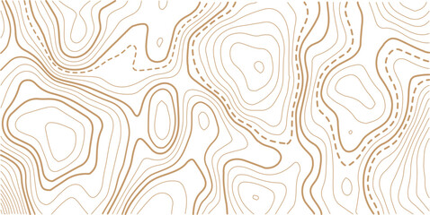 Topographic map pattern background vector. Abstract line contour mountain terrain map background. The concept of a conditional geography scheme and contour line map image. 