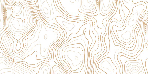 Topographic map pattern background vector. Abstract line contour mountain terrain map background. The concept of a conditional geography scheme and contour line map image. 