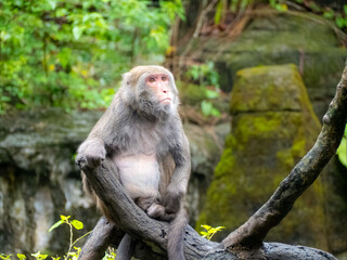 台北市立動物園