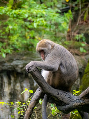 台北市立動物園