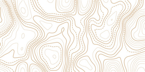 Fototapeta premium Topographic map pattern background vector. Abstract line contour mountain terrain map background. Modern design with White background with topographic wavy pattern design. 