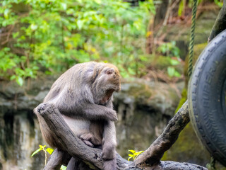 台北市立動物園