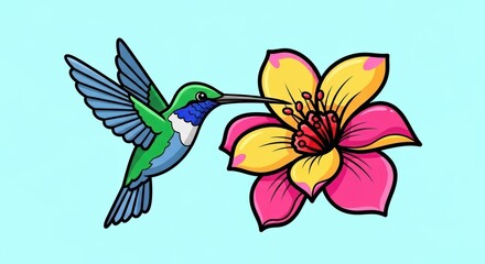 Obraz premium Colorful hummingbird feeding on pink and yellow hibiscus flower illustration