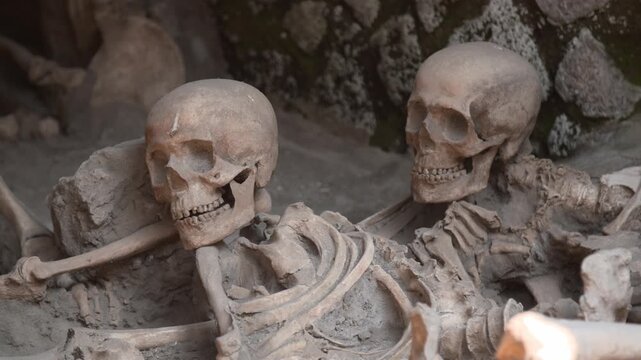 Skulls, skeletons from Ercolano archaeological site in Italy near Vesuvio, Naples