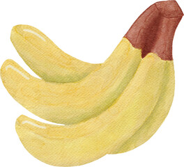 banana fruit watercolor style