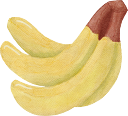 banana fruit watercolor style