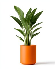 Lush Green Plant in Bright Orange Pot Against White Background