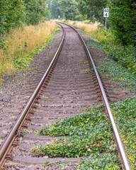 Fototapeta premium Railroad tracks disappearing into the woods with speed limit sign
