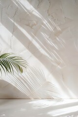 Fototapeta premium Delicate shadows cast by palm frond leaves dance on a smooth, light-colored wall, creating an inviting atmosphere in a calm indoor setting during the day