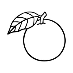orange fruit outline