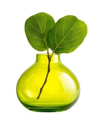 Bright Green Vase with Fresh Leaves Perfect for Home Decor