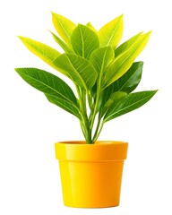 Vibrant Green Plant with Yellow Pot on White Background