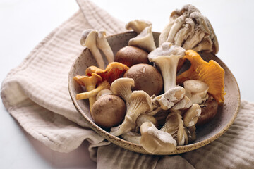 Fresh wild mushrooms: chanterelles, oyster mushrooms and champignons on plate on light table