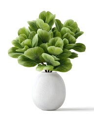 Lush Green Plant Arrangement in Elegant White Vase for Home Decor