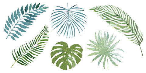 Watercolor tropical leaves set isolated on white background botanical illustration