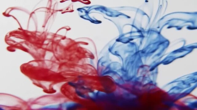 Liquid Fusion Red and Blue Ink Dance in Water