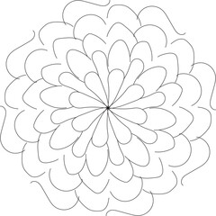 abstract white flower