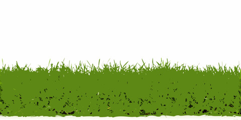 Fototapeta premium Green grass vector illustration on white background for design elements
