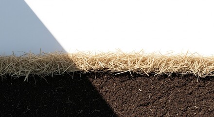 Conceptual Mulch Layer Protecting Against Heat