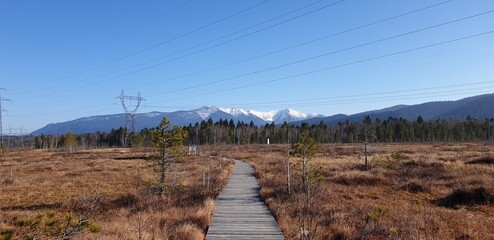 Wooden boardwalk through winter marsh with snowy mountains, Baikal