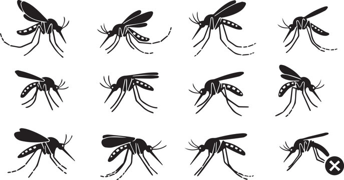 Twelve Black Mosquito Silhouettes in a Grid insect