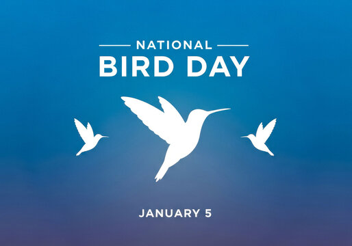 Celebrate national bird day on january 5th with a trio of white hummingbirds silhouetted against a gradient blue backdrop, a symbol of freedom and nature