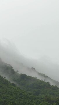 Light drizzle spreads over tropical forest while thick mist moves slowly across the mountain slopes evoking peace. Peaceful nature.